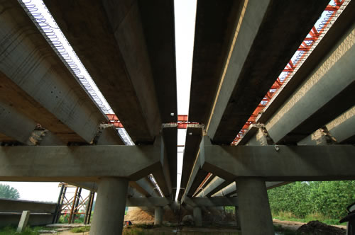 在建橋 _3689